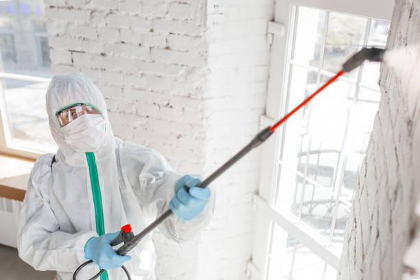 Best Airborne Mold Testing  in Bernardsville, NJ