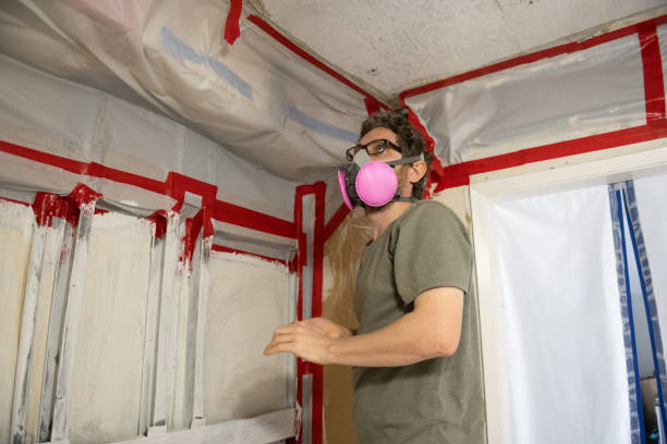 Mold Removal for HVAC Installations in Bernardsville, NJ