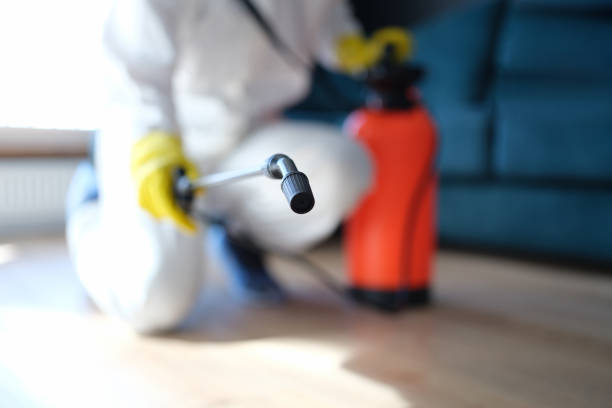 Best Mold Remediation for Healthcare Facilities  in Bernardsville, NJ