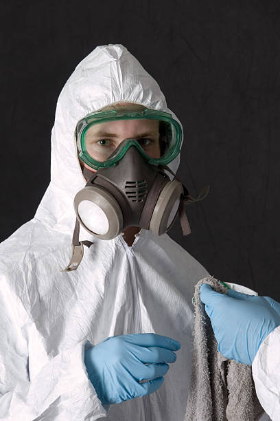 Best Attic Mold Removal  in Bernardsville, NJ